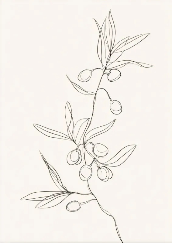 Minimalist continuous single-line drawing of a slender olive branch with small oval leaves and tiny round olives on a clean white background with generous negative space
